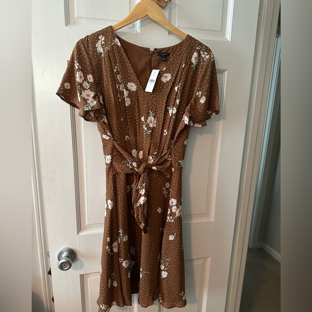 NWT Ann Taylor brown dot floral dress